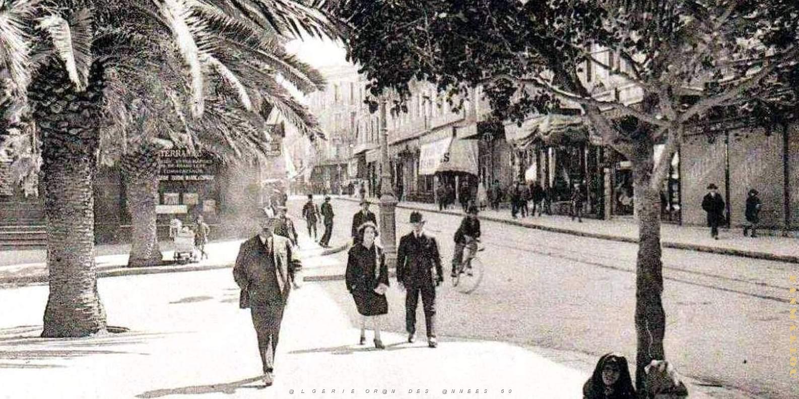 2433- Oran - Boulevard Seguin2.jpg